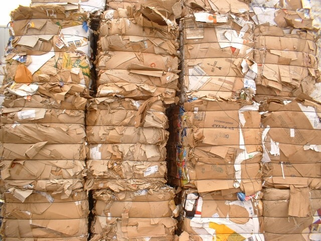 7321777F-61D8-43AB-855F-32B3C3BFBB05_1_105_c