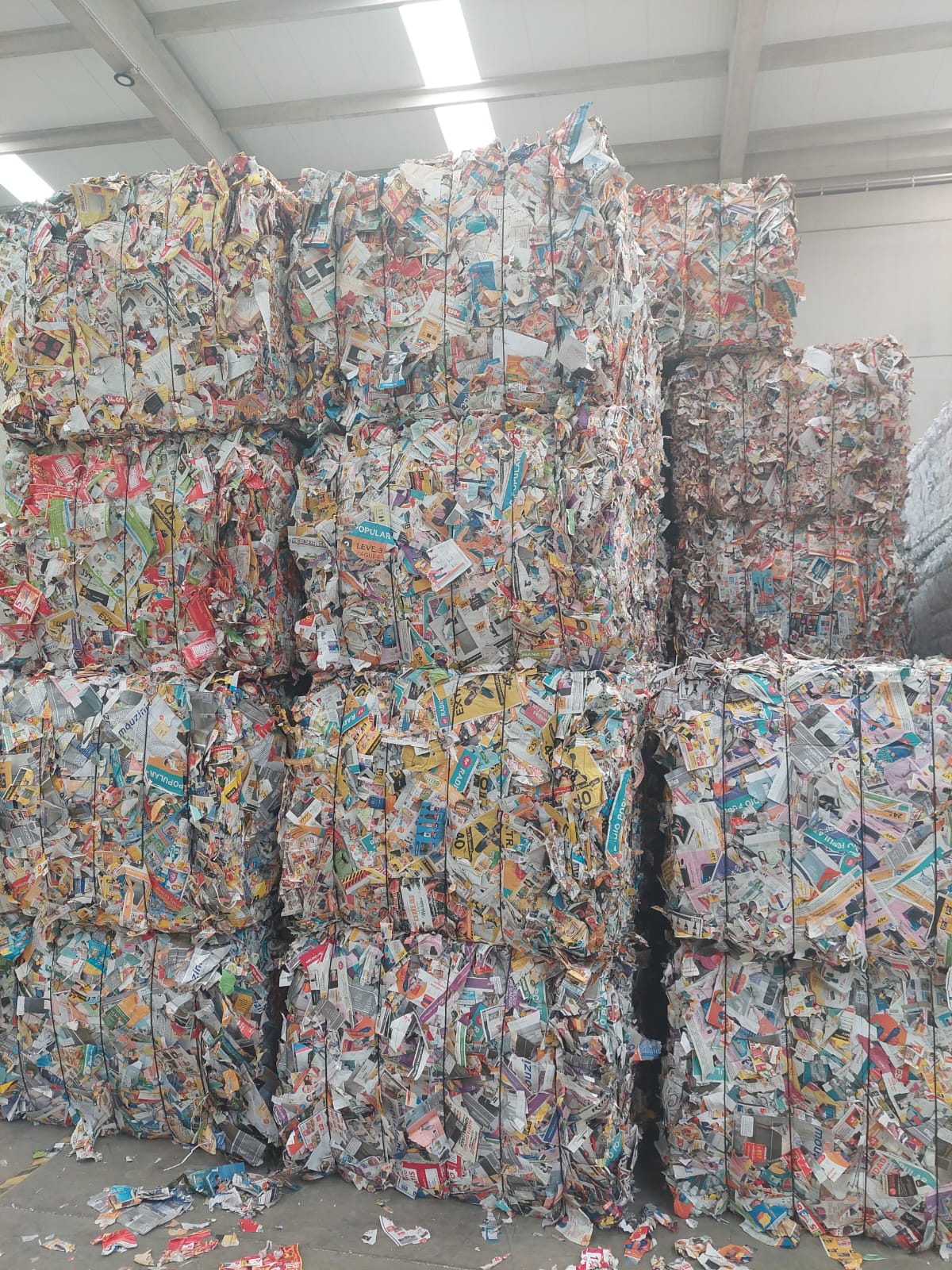 PHOTO-2022-10-20-21-24-17 3