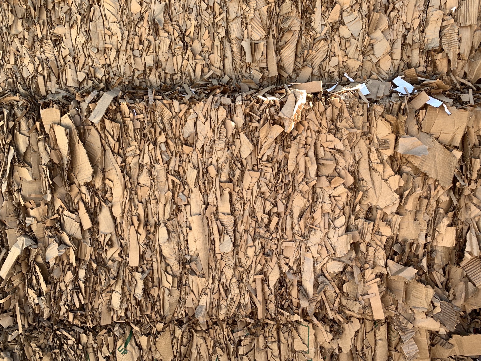 SavannahDlkwdarkmedium-1