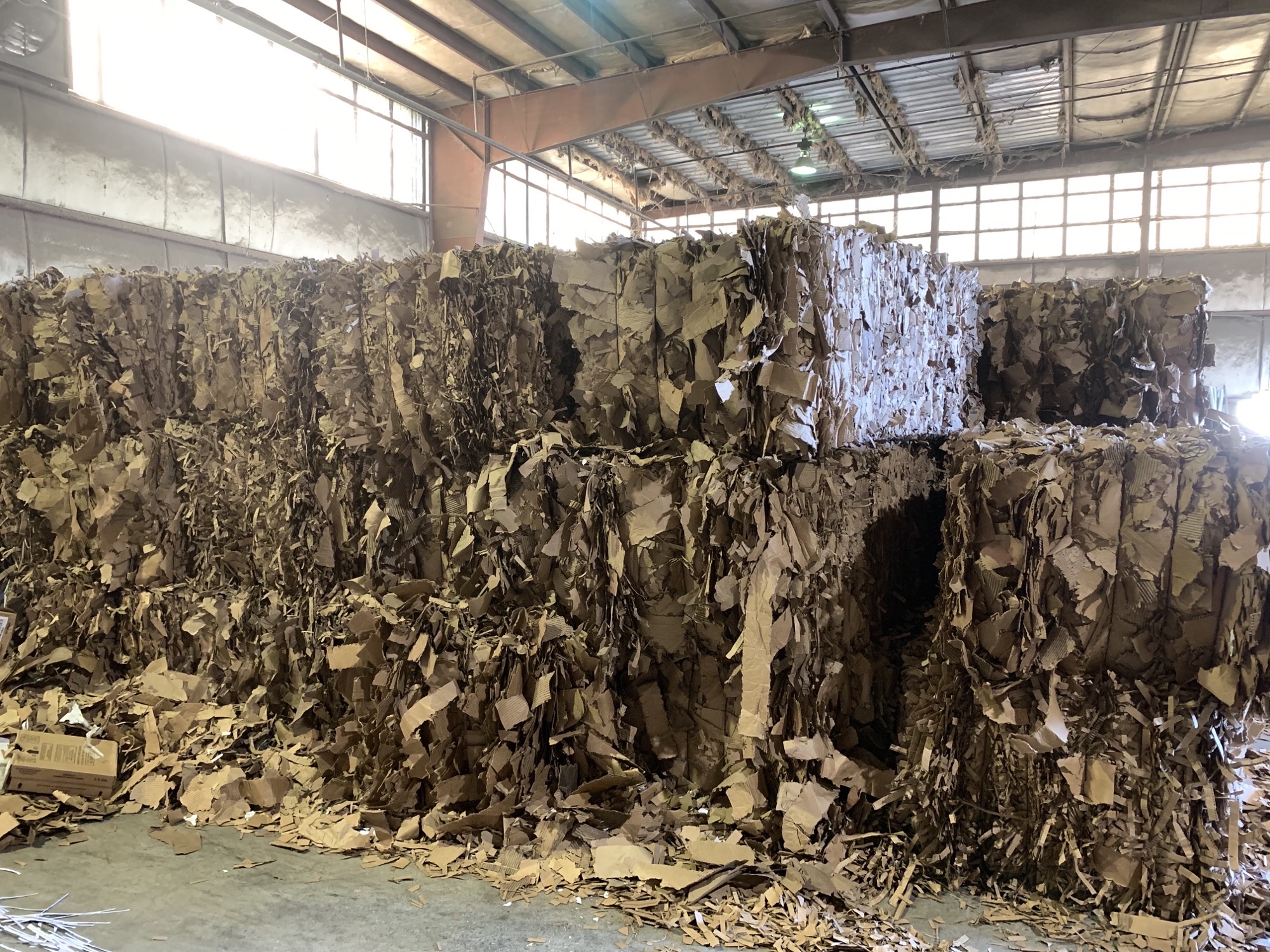 SavannahDlkwdarkmedium-2